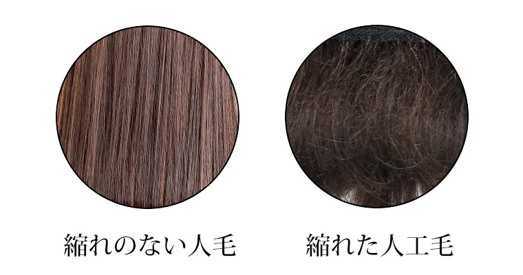 �l�уE�B�b�O�͏k�ꂪ�o�Ȃ�