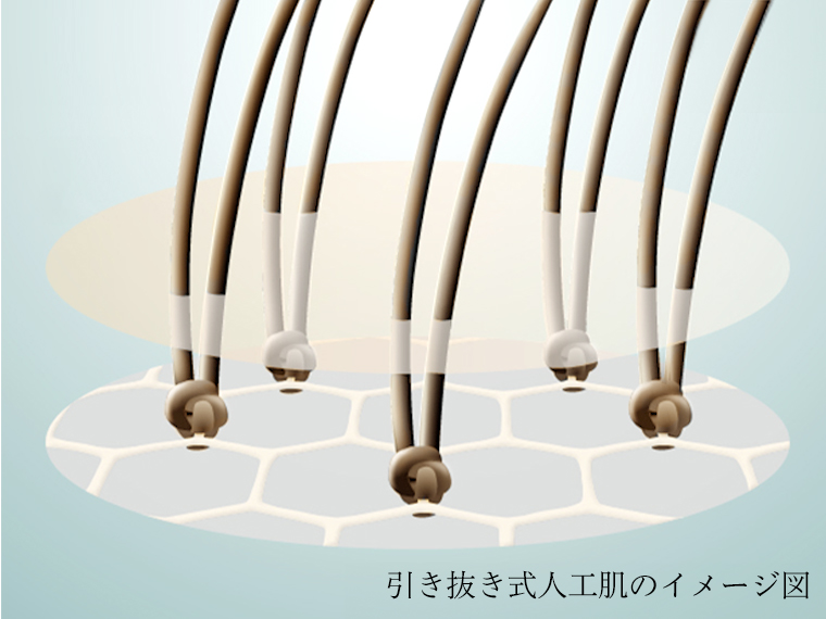 �������̃C���[�W