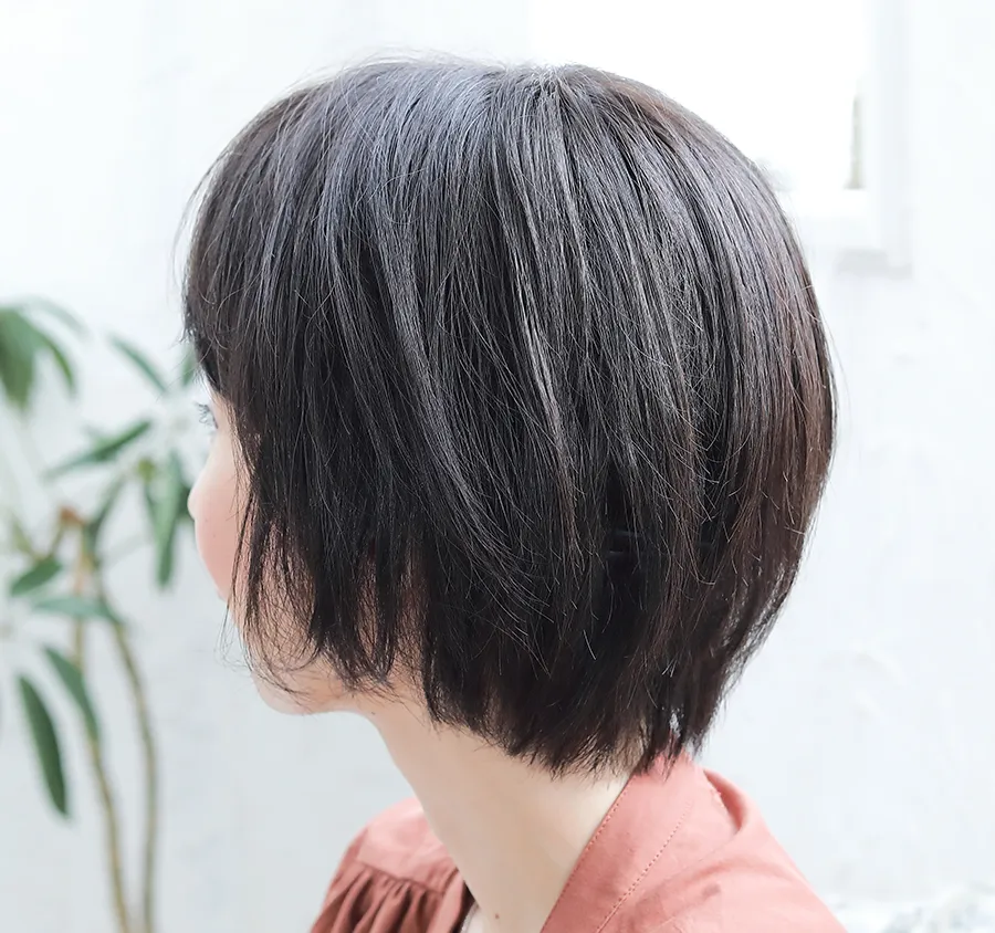 ×pEBbOE~[/~[v~A/GXvV[g/lуEBbO/obNX^C