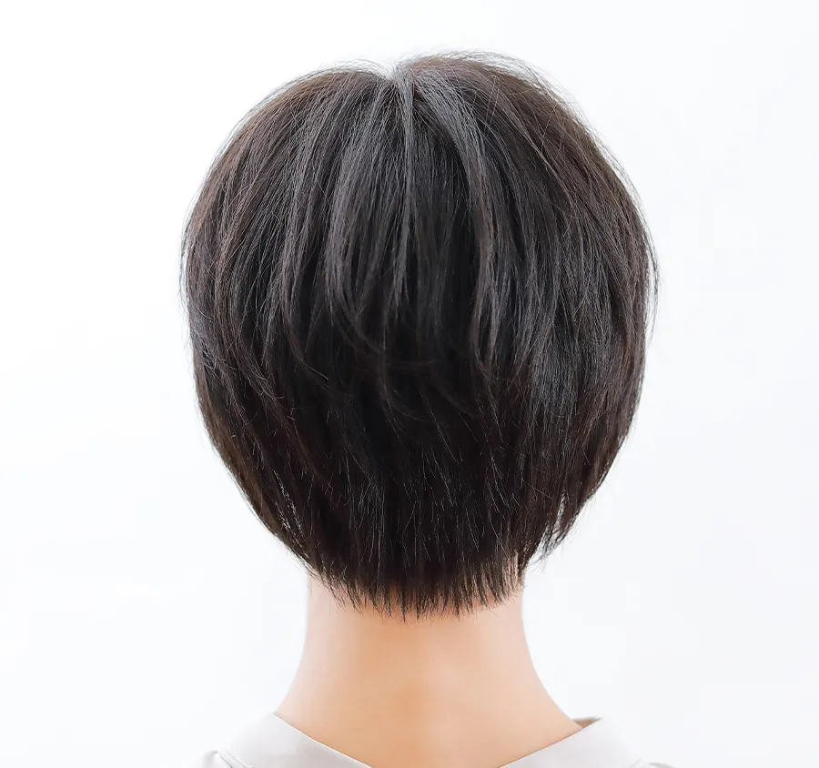 ×pEBbOE~[/~[v~A/Gb`V[g/lуEBbO/obN