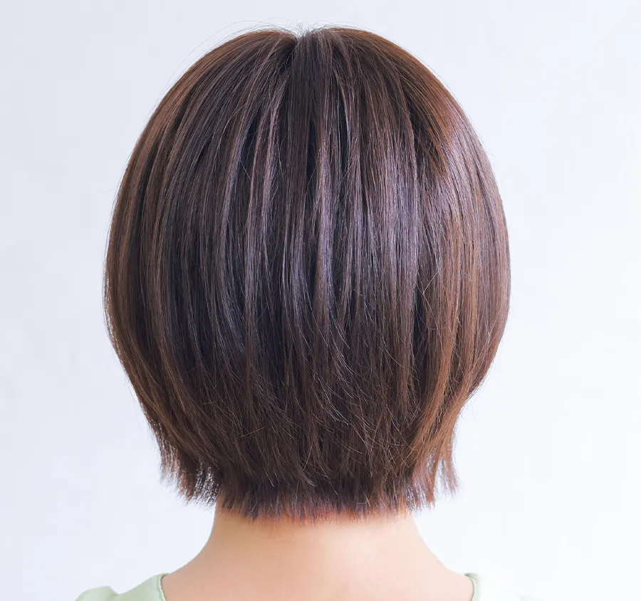 ×pEBbOE~[/~[v~A/_[V[g/lуEBbO/obN